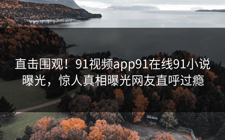 直击围观！91视频app91在线91小说曝光，惊人真相曝光网友直呼过瘾