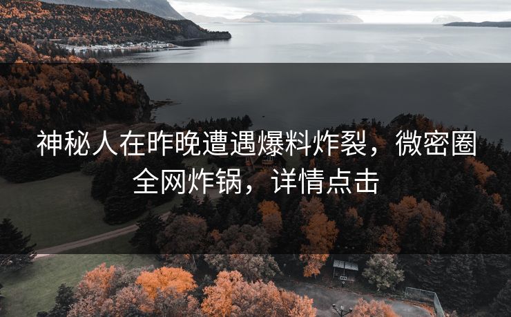 神秘人在昨晚遭遇爆料炸裂,微密圈全网炸锅,详情点击 神秘人在昨晚遭遇爆料炸裂,微密圈全网炸锅,详情点击