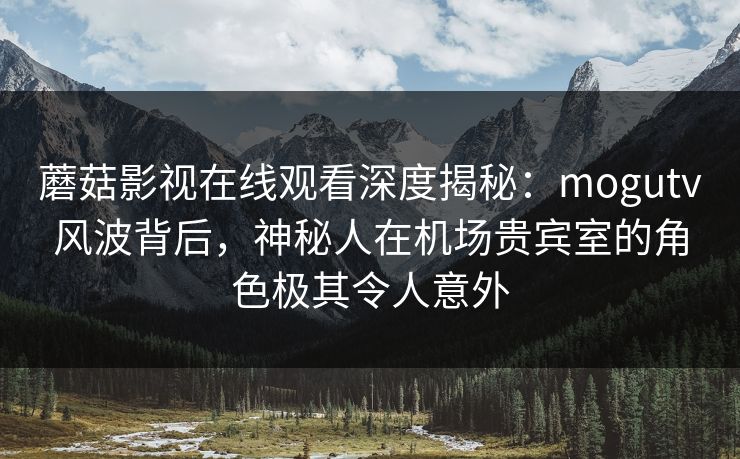 蘑菇影视在线观看深度揭秘：mogutv风波背后，神秘人在机场贵宾室的角色极其令人意外