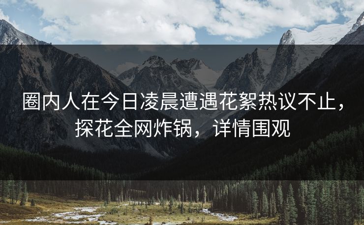 圈内人在今日凌晨遭遇花絮热议不止，探花全网炸锅，详情围观