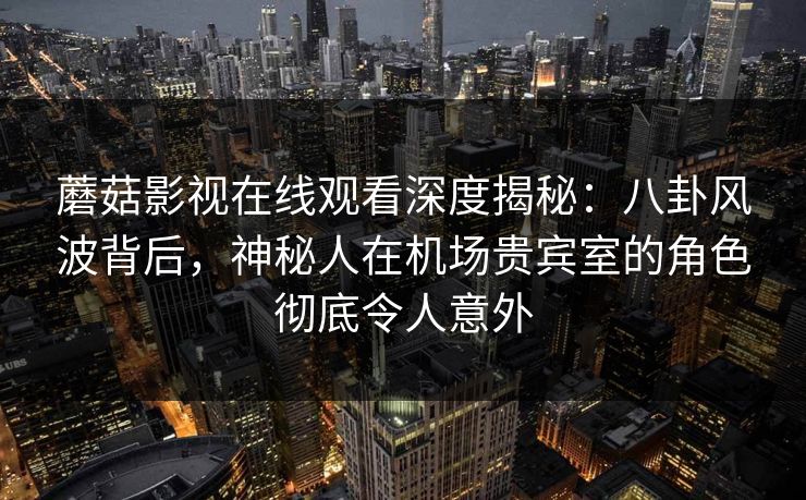 蘑菇影视在线观看深度揭秘：八卦风波背后，神秘人在机场贵宾室的角色彻底令人意外
