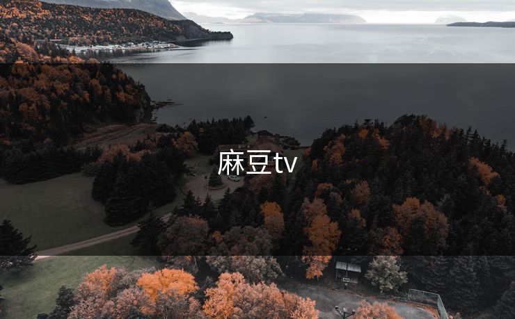 麻豆tv